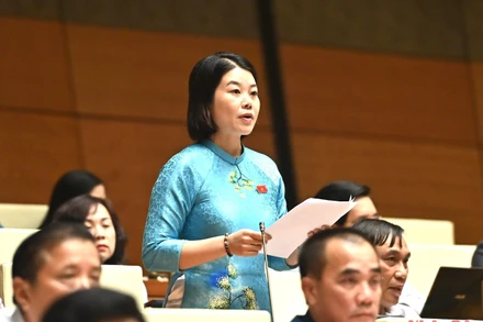 Tạo hành lang pháp lý thống nhất cho hoạt động phòng thủ dân sự