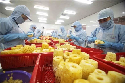 Chế biến sản phẩm dứa đóng hộp tại nhà máy của Công ty cổ phần xuất nhập khẩu nông sản An Giang. (Ảnh tư liệu: TTXVN)