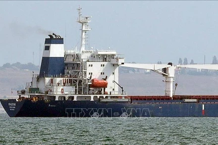 Chuyến tàu đầu tiên chở ngũ cốc của Ukraine rời cảng Odessa ngày 1/8/2022. (Ảnh minh họa: AFP/TTXVN)