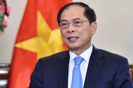 Phó Thủ tướng, Bộ trưởng Ngoại giao Bùi Thanh Sơn. (Ảnh: Báo Thế giới và Việt Nam)