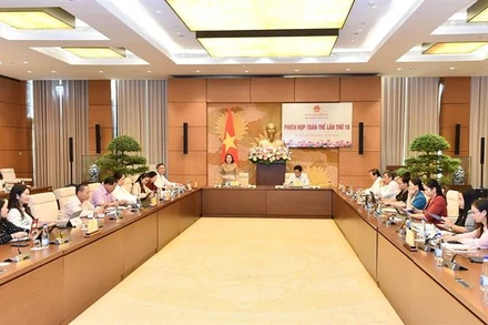 Quang cảnh Phiên họp.