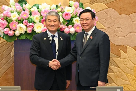 Hợp tác kinh tế, thương mại và đầu tư Việt Nam-Nhật Bản ngày càng phát triển