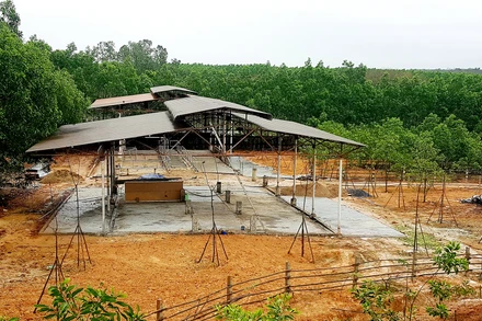 Hai khu nhà chăn nuôi gia súc được ông Bùi Mạnh Dũng xây dựng trái phép tại thôn Tân Văn, xã Gio An.