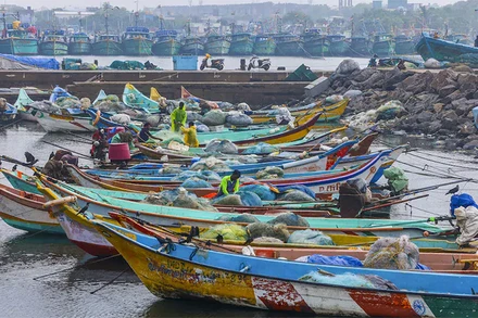 Tàu thuyền vào bờ trước khi bão đổ bộ. Ảnh: PTI