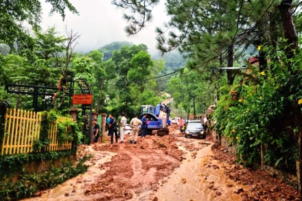 Khu vực sạt lở đất. 