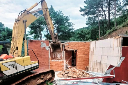 Lực lượng chức năng phá dỡ công trình vi phạm đất rừng, trật tự xây dựng.