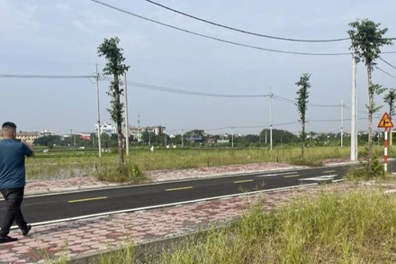 Khu đất đấu giá Dộc Tranh, xã Trạch Mỹ Lộc. 