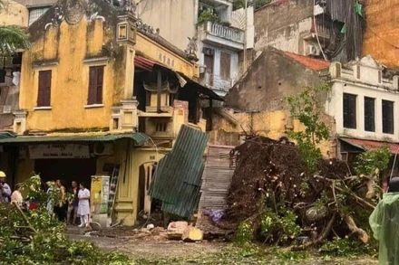 Cây xanh gãy đổ làm sập nhà trên phố Hàng Cá, quận Hoàn Kiếm, Hà Nội. 