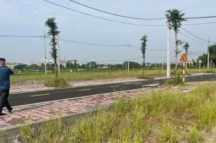 Khu đất đấu giá Dộc Tranh, xã Trạch Mỹ Lộc, huyện Phúc Thọ. 