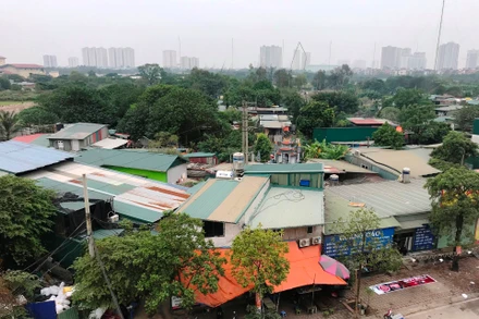 Đất nông nghiệp tại huyện Thanh Trì bị sử dụng sai mục đích. 