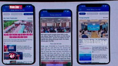 Ra mắt ứng dụng người tiêu dùng