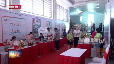 Tổ chức diễn đàn khởi nghiệp năm 2024