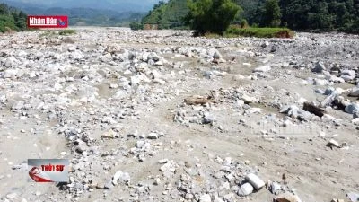 Nhiều cánh đồng không thể khôi phục sau mưa lũ