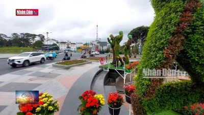 Đà Lạt gấp rút chuẩn bị cho sự kiện Festival hoa lần thứ 10