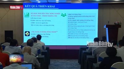 Thúc đẩy chuyển đổi số trong nông nghiệp