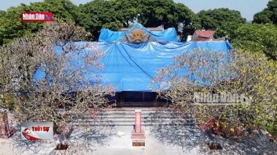 Khẩn trương phục hồi di tích, di vật tại chùa Phổ Quang