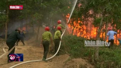 Diễn tập phòng cháy, chữa cháy rừng cấp quốc gia năm 2024