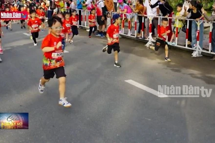 Tổ chức Giải Marathon Đất Sen Hồng
