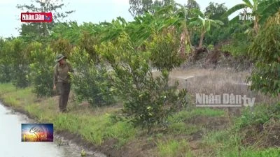 Hội cựu chiến binh Việt Nam với tinh thần "Bộ đội cụ Hồ"