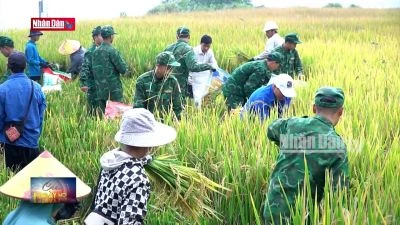 Bộ đội Biên phòng giúp đỡ người dân biên giới