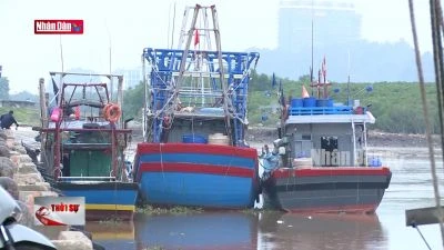 Thanh Hóa: Hậu cần nghề cá bị ảnh hưởng do cảng cá xuống cấp