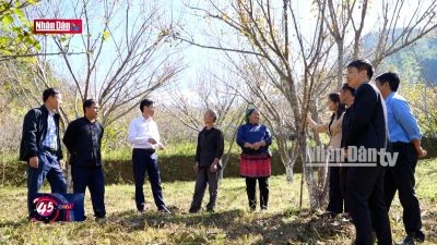 Xứng đáng là người đại biểu của nhân dân