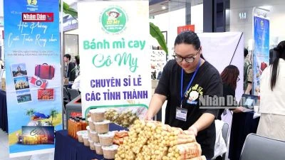 Sôi nổi trải nghiệm "Hải Phòng - Cuối tuần rong chơi"