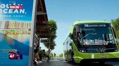 Thách thức trên hành trình xanh hóa xe buýt
