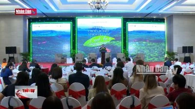 Chuyển đổi kép vì một Việt Nam xanh hơn