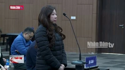 Tuyên án 17 bị cáo vụ "chuyến bay giải cứu" giai đoạn 2