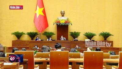 Sửa Luật Quảng cáo cần bảo đảm lợi ích người xem