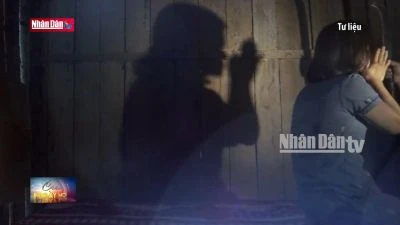 Việt Nam nỗ lực xoá bỏ bạo lực đối với phụ nữ