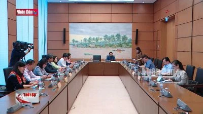 Bổ sung những mặt hàng gây hại môi trường chịu thuế tiêu thụ đặc biệt