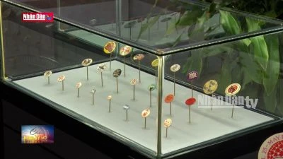 Câu chuyện từ những huy hiệu phản chiến