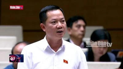 Quốc hội thảo luận về dự án Luật Thuế tiêu thụ đặc biệt (sửa đổi)