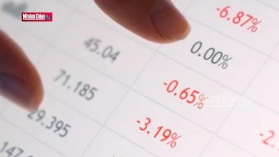 Kiểm toán vốn điều lệ của doanh nghiệp khi chào bán cổ phiếu