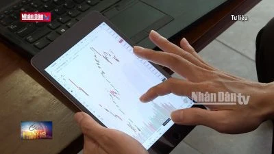 Tạm ngừng giao dịch tài khoản chứng khoán không chuẩn hóa thông tin