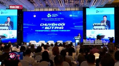 Logistic Việt Nam: Chuyển đổi để bức phá