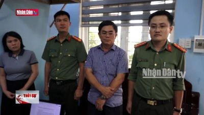 Quảng Bình: Khởi tố 11 bị can liên quan “đại án” cây xanh