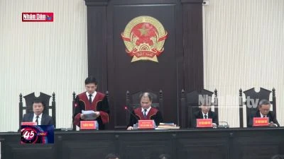 Tuyên án vụ AIC Bắc Ninh