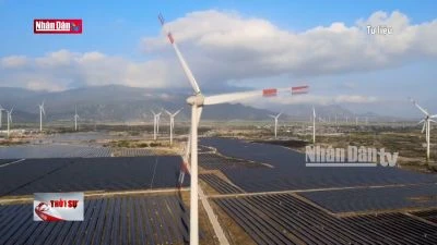 Tích cực tháo gỡ khó khăn, vướng mắc cho các dự án điện năng lượng tái tạo