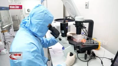 Kết hợp nghiên cứu thử nghiệm thuốc ung thư