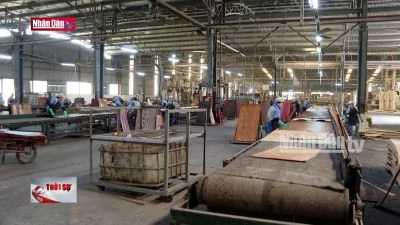 Khó khăn trong sản xuất kinh doanh sau thiên tai