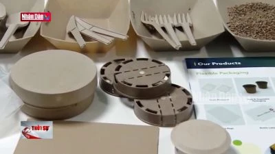 Đẩy mạnh phát triển vật liệu thay thế nhựa