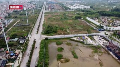 Công khai danh tính cá nhân bỏ cọc đấu giá đất