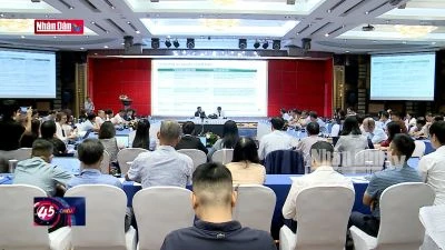 Các bon rừng - Tiềm năng tài chính cho bảo vệ và phát triển rừng