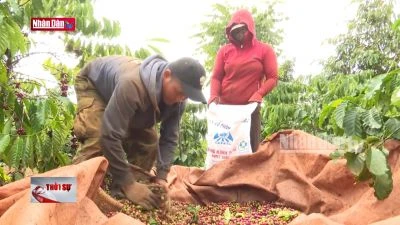 Xuất nhập khẩu của Việt Nam đứng top đầu châu Á