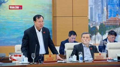 Phải có những cơ chế thật mạnh và vượt trội khi tinh gọn, sắp xếp