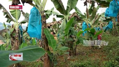 Hiệu quả từ chương trình mục tiêu quốc gia 1719