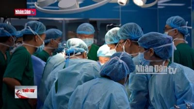 Bệnh nhân ghép phổi từ người cho chết não được ra viện